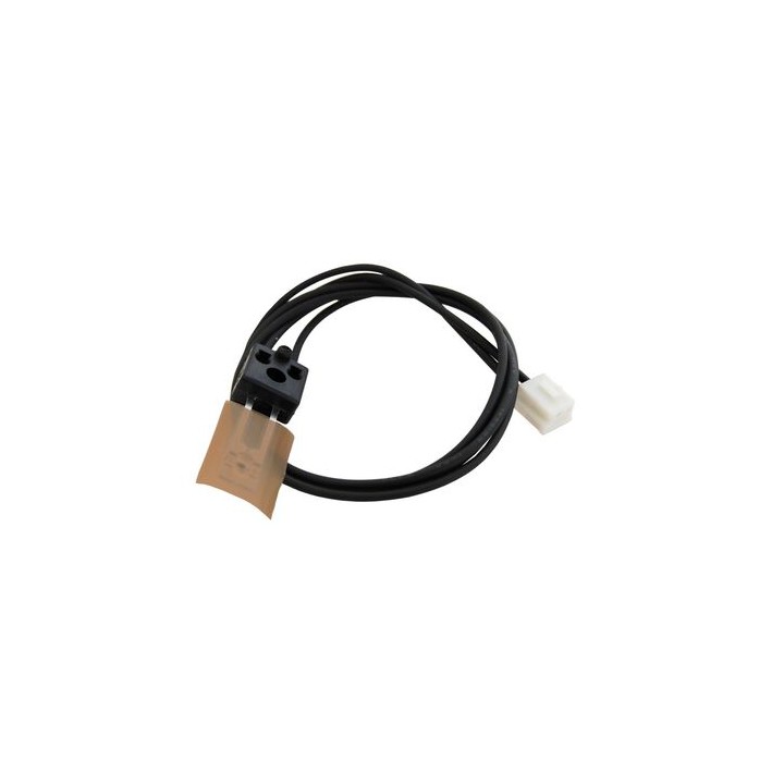 Termistore Originale AW10-0073 RICOH Conf.1