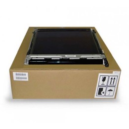 Kit Trasferimento Immagine Intermedio Originale A161R71300, A161R71311, A161R71322, A161R71333 MINOLTA Conf.1