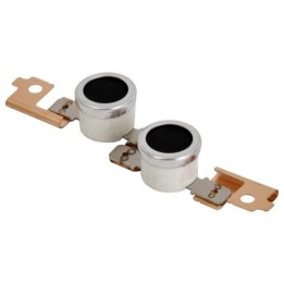 Termostato Originale B027-4095, B209-4095 RICOH Conf.1