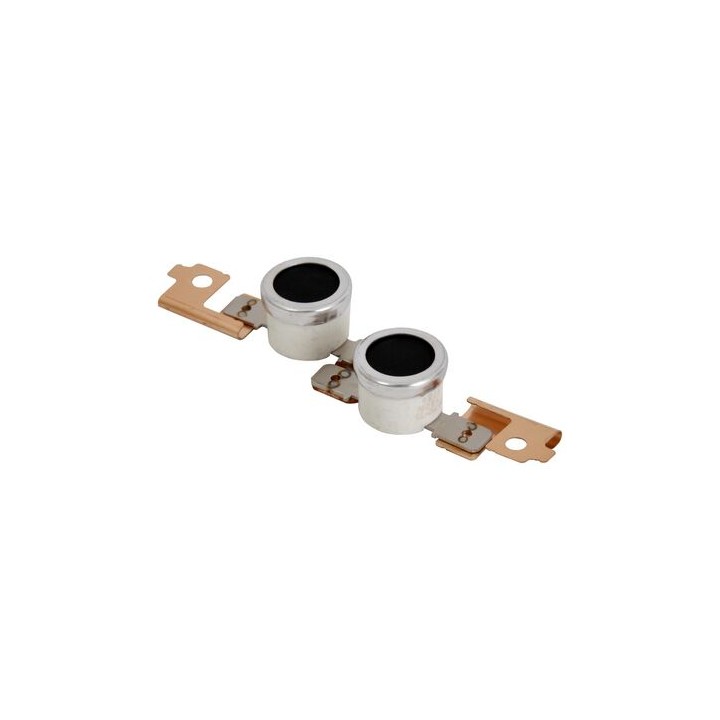 Termostato Originale B027-4095, B209-4095 RICOH Conf.1