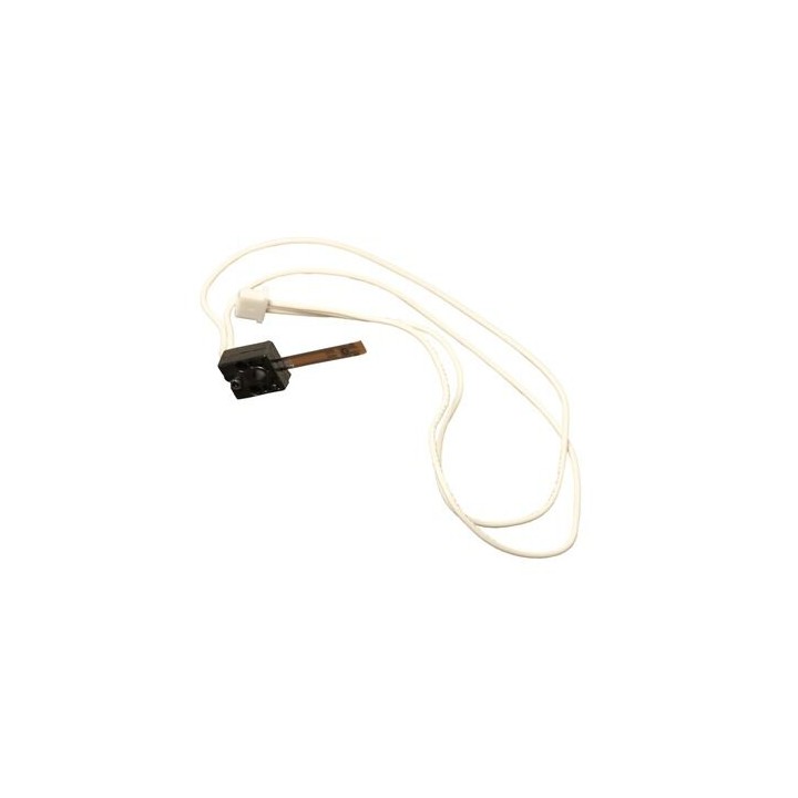 Termistore Fusore Originale AW10-0111 RICOH Conf.1