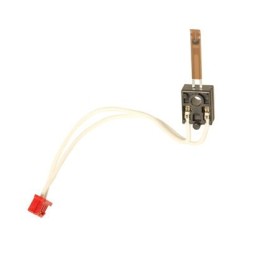 Termistore Fusore Originale AW10-0112 RICOH Conf.1