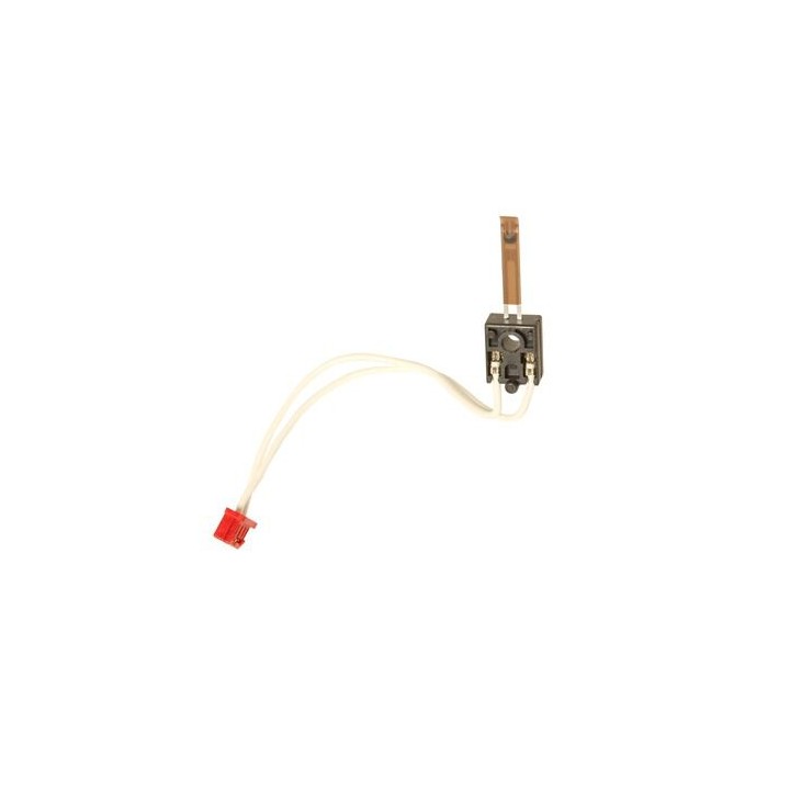 Termistore Fusore Originale AW10-0112 RICOH Conf.1