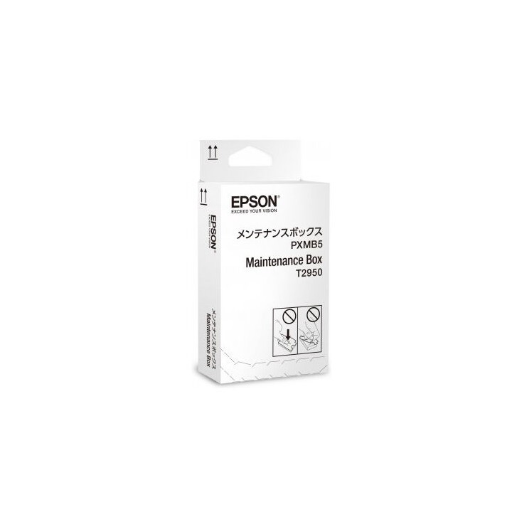 Kit Manutenzione Originale C13T295000 EPSON Conf.1