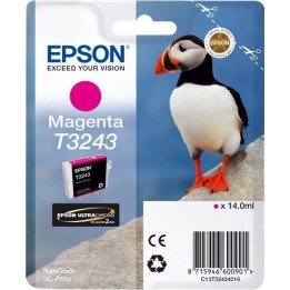 Cartuccia Originale Magenta (T3243) C13T32434010, T3243 EPSON Conf.1