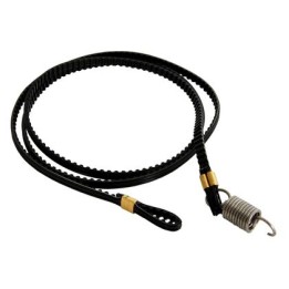 Scanner Belt Originale A121-PP0N-00, A121PP0N00, A121PP0N01, A121PP0N02 MINOLTA Conf.1