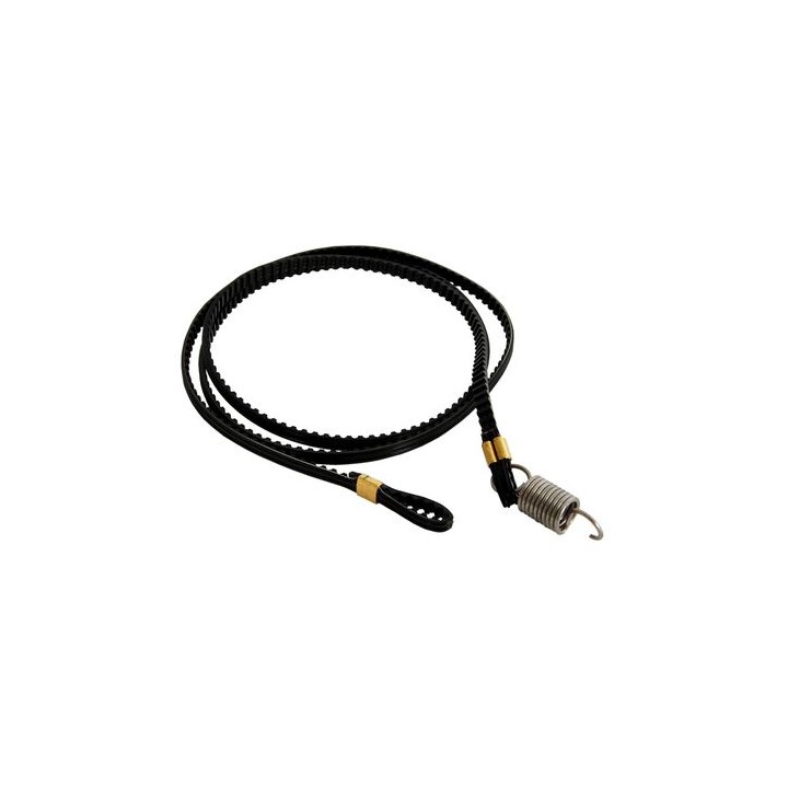 Scanner Belt Originale A121-PP0N-00, A121PP0N00, A121PP0N01, A121PP0N02 MINOLTA Conf.1