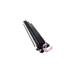 Developer Unit Originale Magenta B116-3013 RICOH Conf.1 - Pag.60000