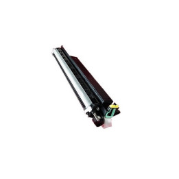 Developer Unit Originale Giallo B116-3014 RICOH Conf.1 - Pag.60000