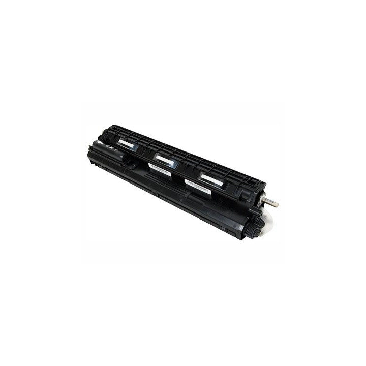 Developer Originale Ciano M026-3022, M026-3031 RICOH Conf.1