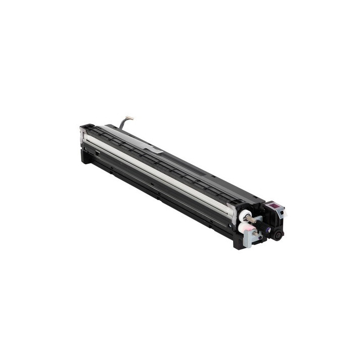 Development Unit Originale Magenta D177-3022, D177-3027, D177-3037 RICOH Conf.1 - Pag.120000