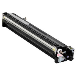 Development Unit Originale Giallo D177-3023, D177-3028 RICOH Conf.1 - Pag.120000