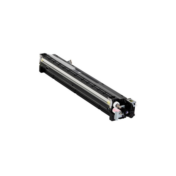 Development Unit Originale Giallo D177-3023, D177-3028 RICOH Conf.1 - Pag.120000