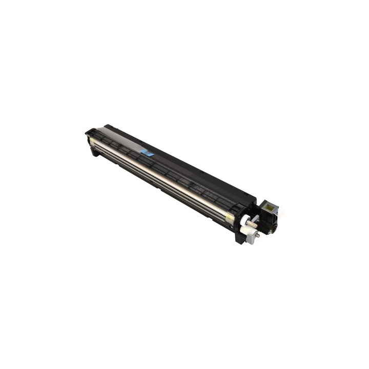 Developer Unit Originale Giallo D244-3023 RICOH Conf.1