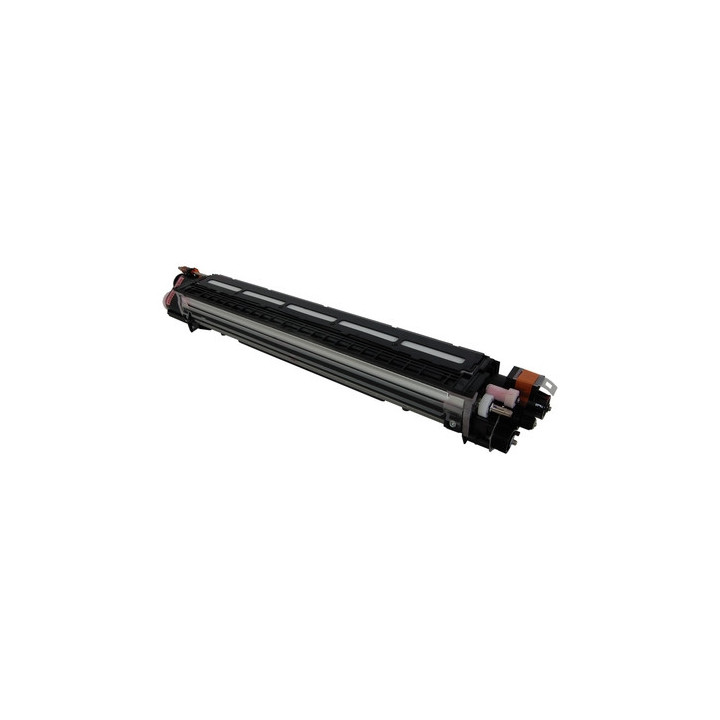 Developer Unit Originale Magenta D242-3062, D242-3066, D242-3087, D242-3093, D2423066, D2423087 RICOH Conf.1