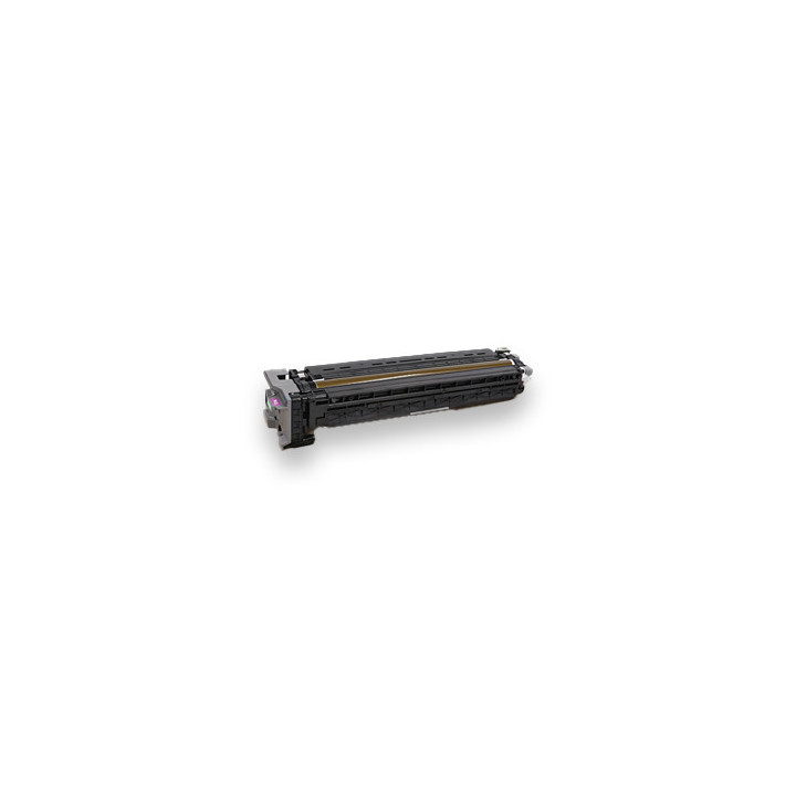 PCDU con Developer Compatibile Magenta D0F2-2212, D0F22212 RICOH Conf.1