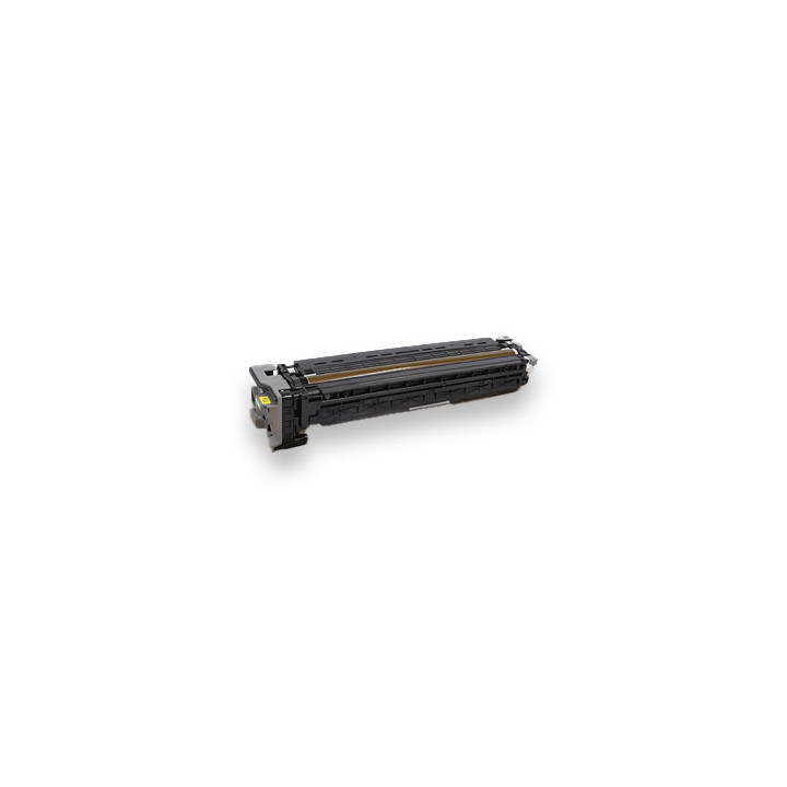 PCDU con Developer Compatibile Giallo D0F2-2213, D0F22213 RICOH Conf.1