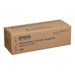 Tamburo Originale Magenta 1225, C13S051225 EPSON Conf.1 - Pag.50000