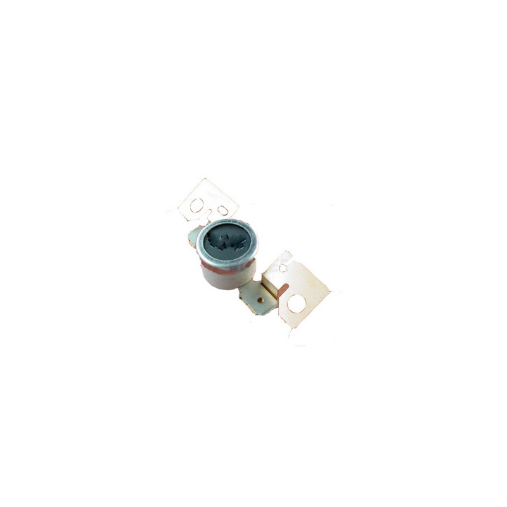 Termostato Originale B039-4120 RICOH Conf.1