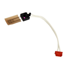 Termistore Originale (Inner Back) AW10-0086 RICOH Conf.1