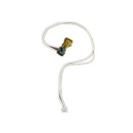 Termistore Originale AW10-0060 RICOH Conf.1