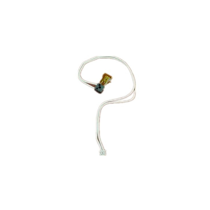 Termistore Originale AW10-0060 RICOH Conf.1