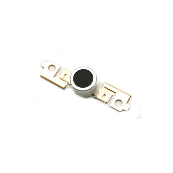 Termostato Originale B004-4106 RICOH Conf.1