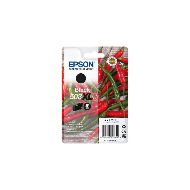 Cartuccia Originale Nero  (503XL) 503XL, C13T09R14010 EPSON Conf.1 - Pag.550