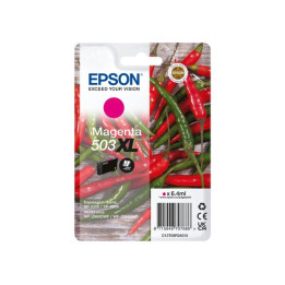 Cartouche Originale Magenta (503XL) 503XL, C13T09R34010 EPSON Conf.1 - Pag.470