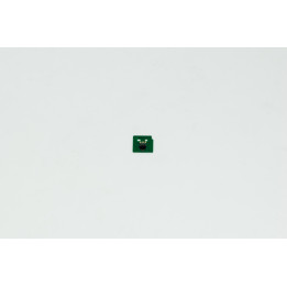 Chip Ciano XEROX Conf.1 - Pag.15000