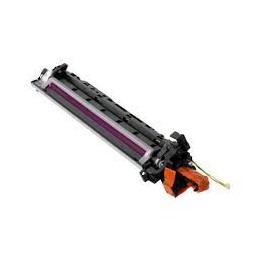Developing Unit  Originale Magenta A9C80ED, DV619M MINOLTA Conf.1 - Pag.600000
